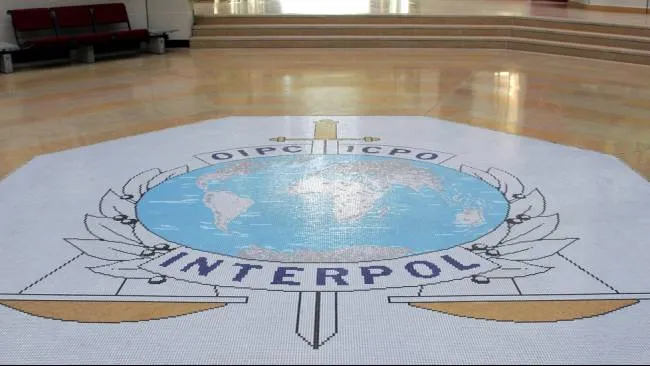 Interpol Berhasil Menangkap 206 Orang dan Sita Narkoba Senilai Rp26 Triliun di Eropa, Amerika Utara, dan Afrika