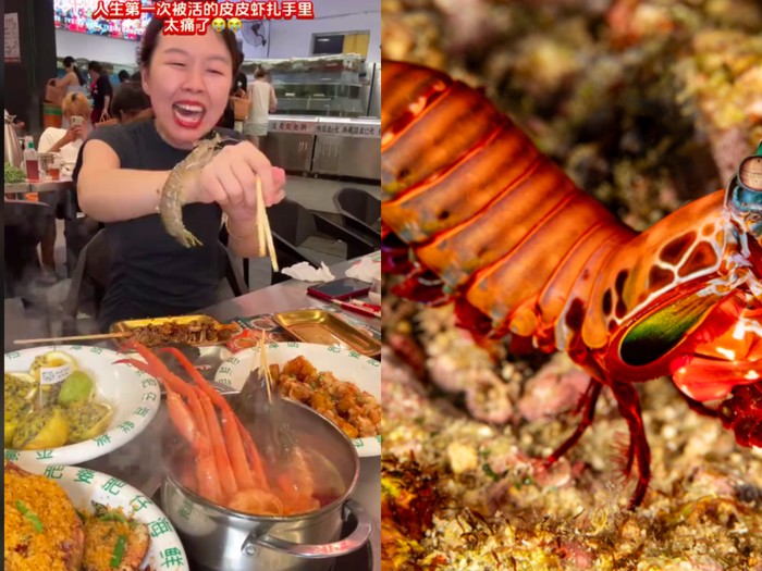 Ngeri! Wanita Ini Dipatil Udang Mantis saat Makan Suki